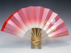 maikodomo00005-230x172.jpg