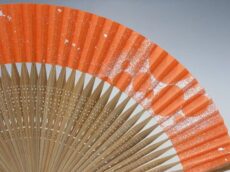 fujin00178