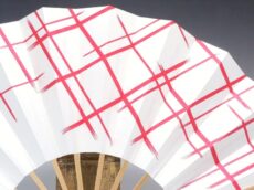 舞扇子(白竹)白地・色格子・赤のアップ